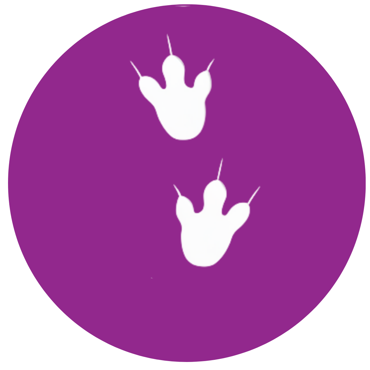 The footprints of this dinosaur