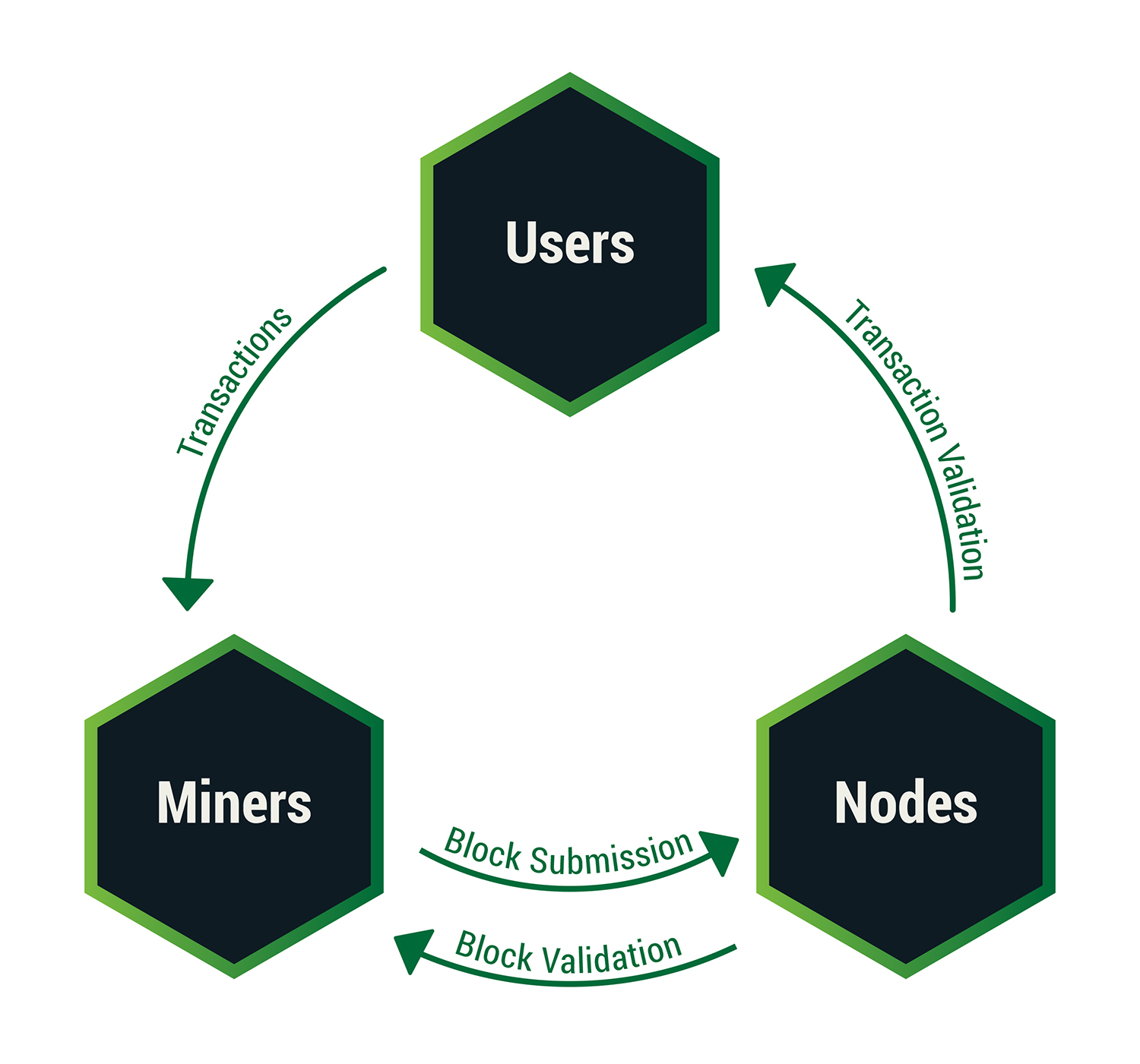 Bitcoin Participants Bitcoin Participants