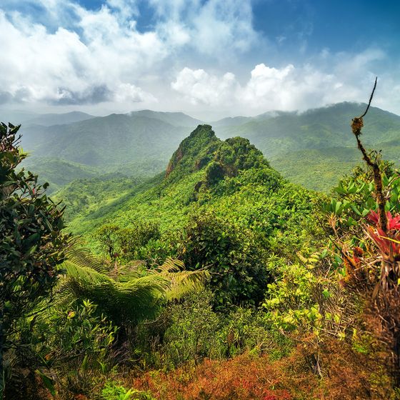 Lush green mountains and dense vegetation under a partly cloudy sky, displaying a vibrant and diverse tropical landscape.