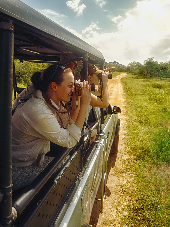 People on a safari, using cameras and binoculars from an open vehicle, observing wildlife in a sunny, grassy landscape.