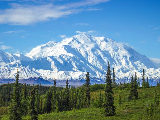 Snowy mountain peak under a blue sky, with evergreen trees and green fields in the foreground.