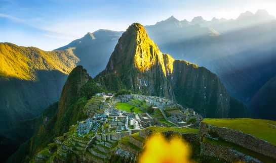 Machu Picchu bathed in sunlight with lush green terraces and bright yellow flowers in the foreground, surrounded by misty mountains.