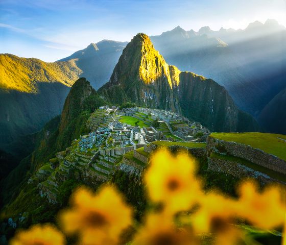 Machu Picchu bathed in sunlight with lush green terraces and bright yellow flowers in the foreground, surrounded by misty mountains.