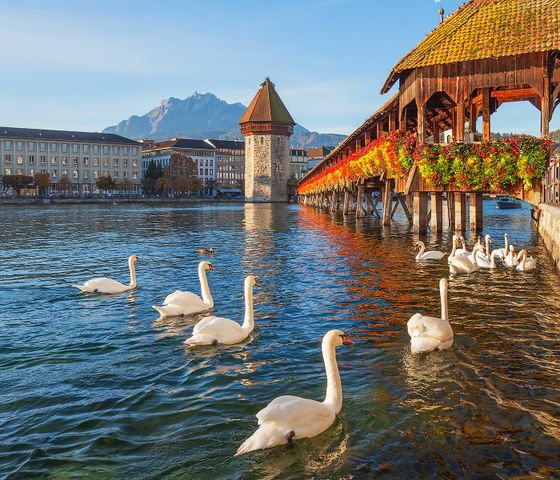 Swans on a lake by a historic wooden bridge adorned with flowers, with a stone tower and mountains in the background under a clear blue sky.