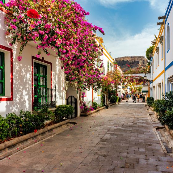 A picturesque cobblestone street lined with colorful buildings and vibrant bougainvillea, leading to a distant mountain under a sunny sky.