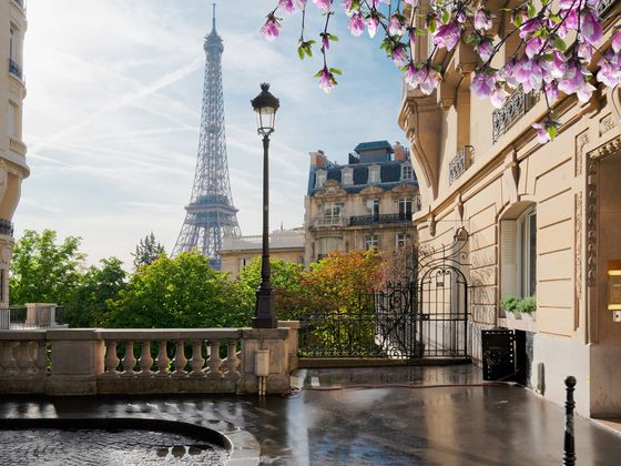 Paris street with wet pavement, blooming flowers, and classic architecture. The Eiffel Tower stands prominently in the background under a blue sky.