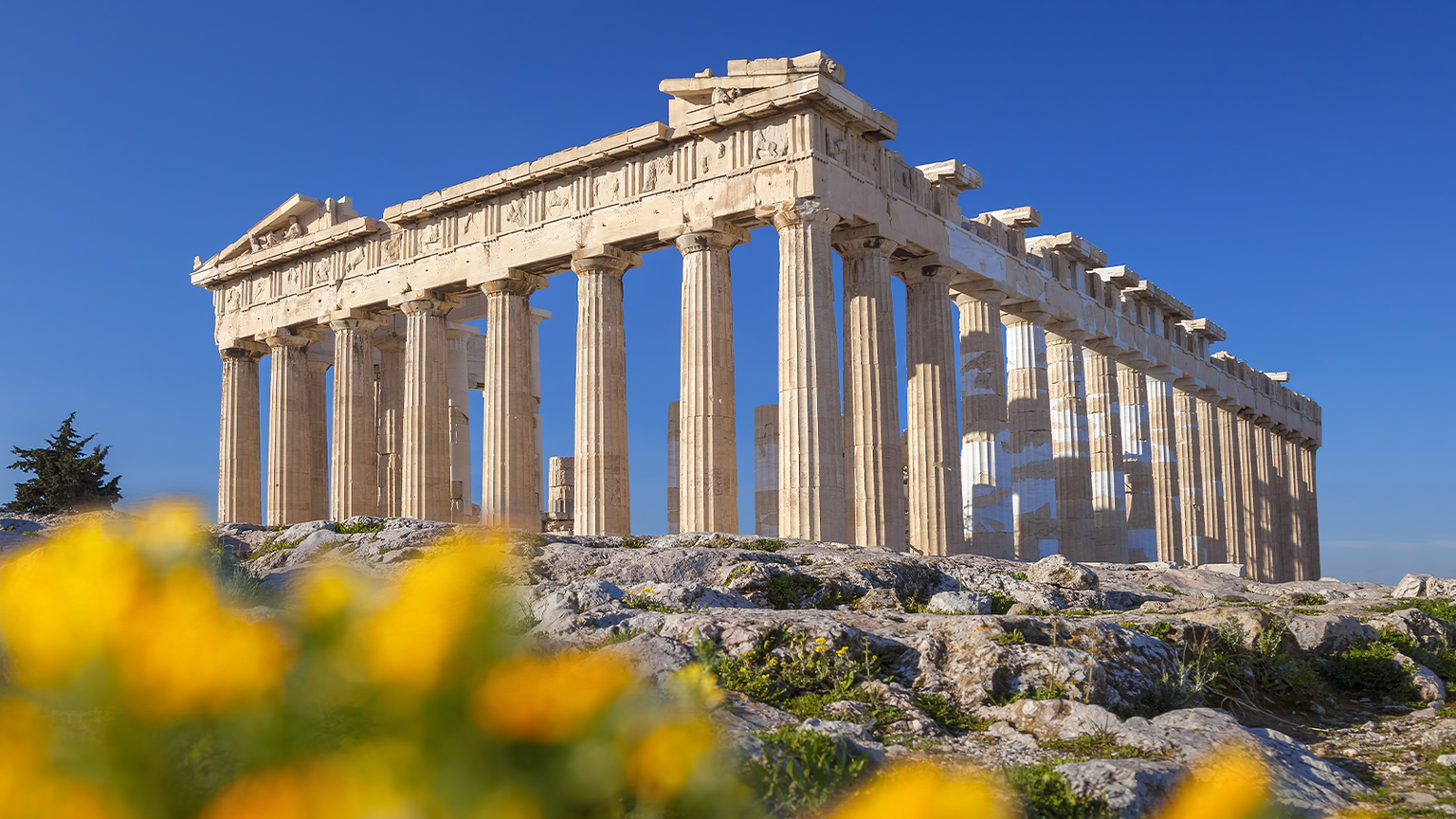 The Parthenon in Athens under a clear blue sky, with vibrant yellow flowers in the foreground.