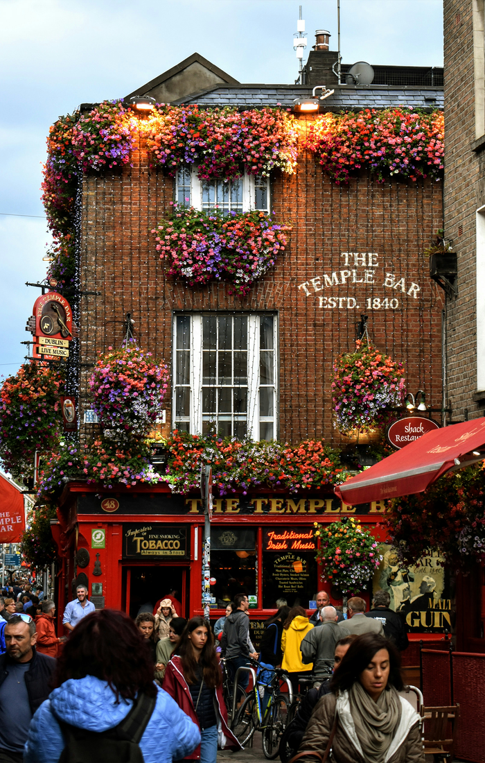 A lively street scene outside The Temple Bar in Dublin, adorned with colorful flowers; people walking by and enjoying the atmosphere.