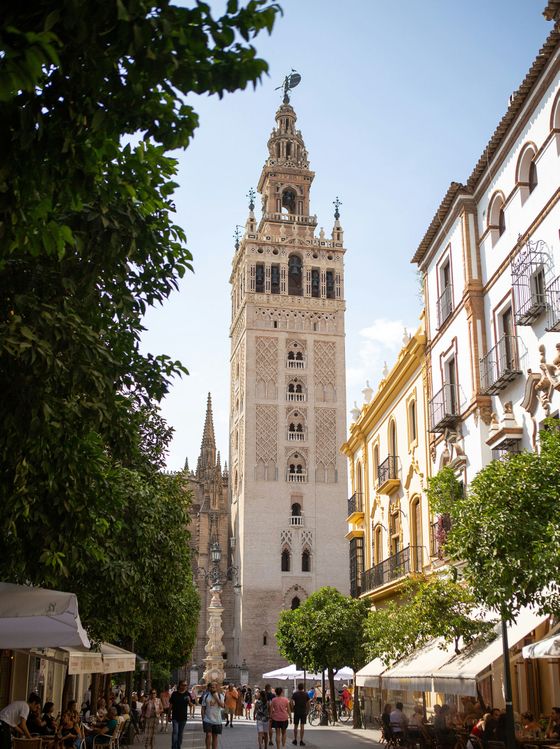 Street view of Seville Cathedral, a tall, ornate tower, surrounded by historic buildings, trees, and people walking on a sunny day.