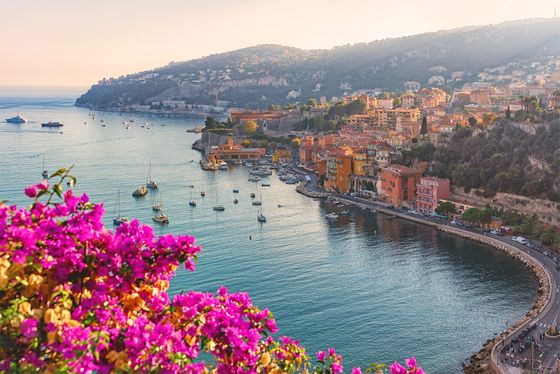 Coastal town with colorful buildings overlooking a vibrant harbor filled with boats, surrounded by hills and bright pink flowers in the foreground.