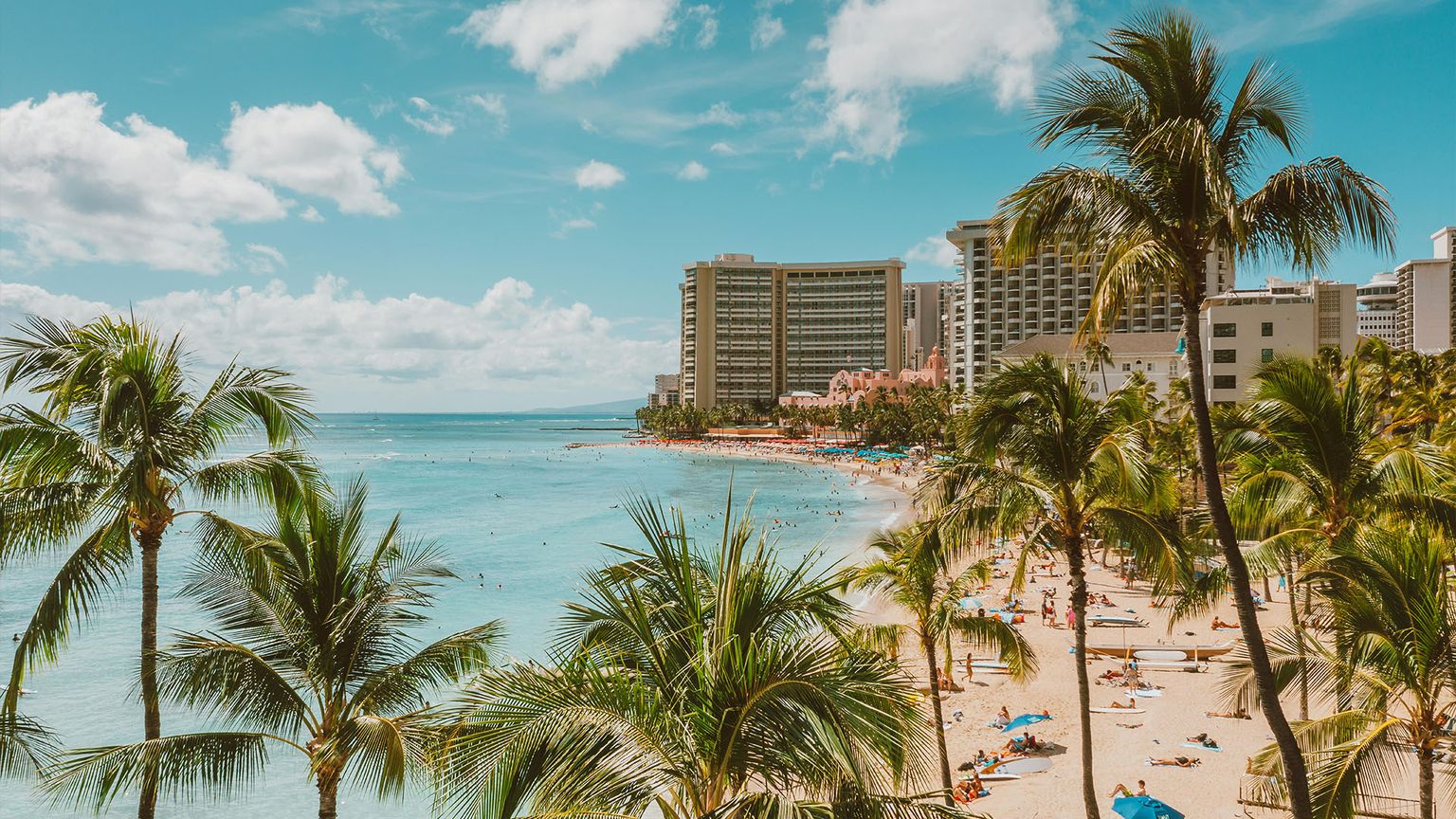 Sunny beach with palm trees, turquoise ocean, and sunbathers. Tall hotels line the shore, under a bright blue sky with scattered clouds.