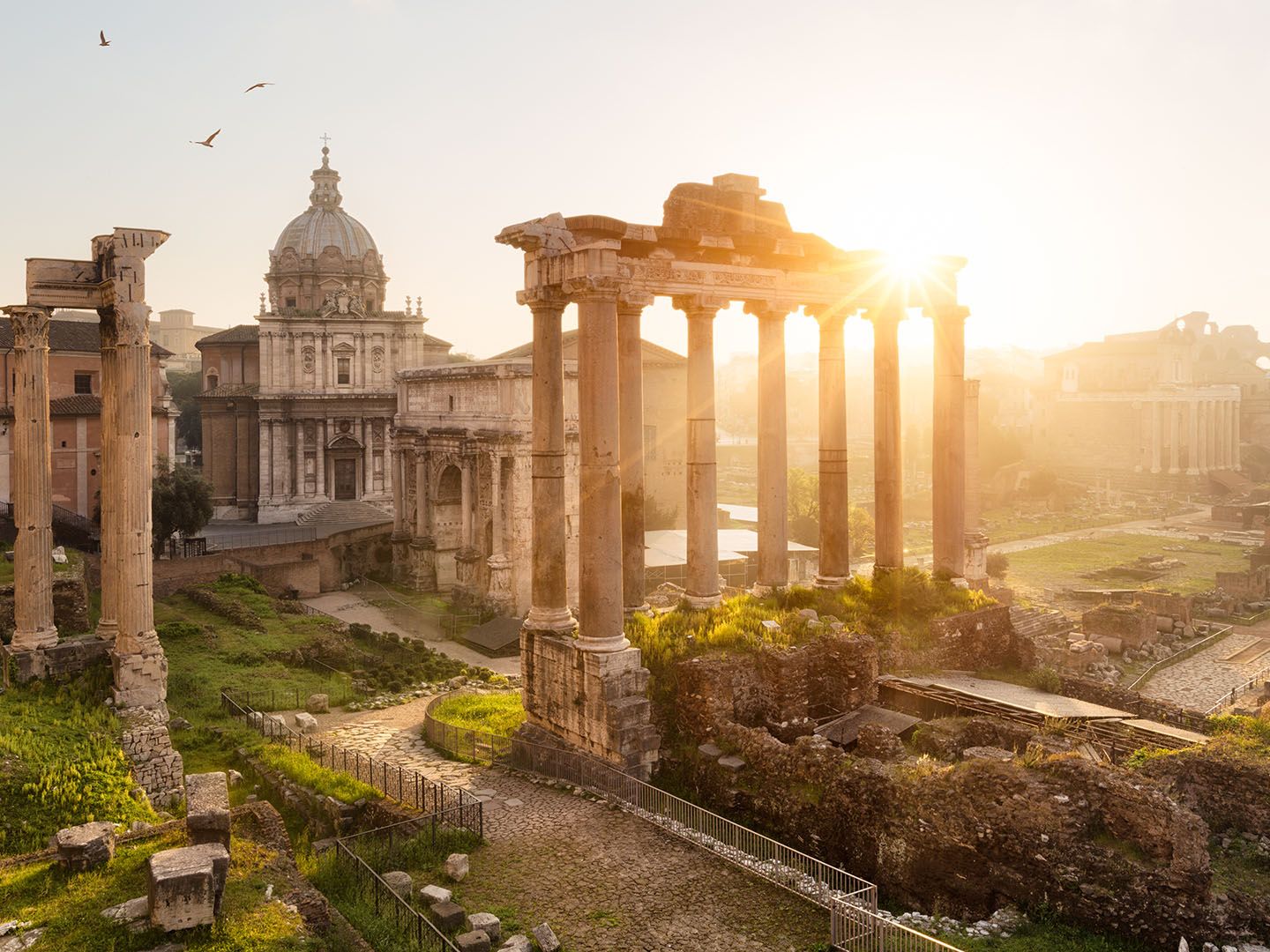 Sunlit Roman Forum ruins with ancient columns, a domed building, and birds flying in the sky, creating a serene historic landscape.