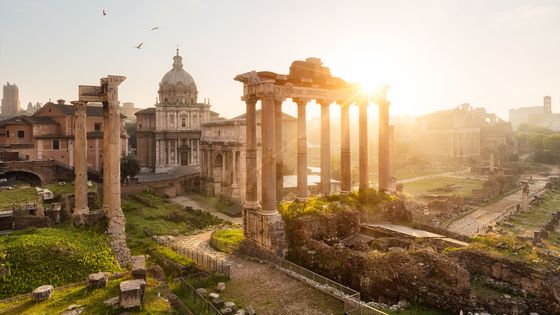 Sunlit Roman Forum ruins with ancient columns, a domed building, and birds flying in the sky, creating a serene historic landscape.