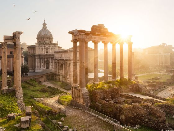 Sunlit Roman Forum ruins with ancient columns, a domed building, and birds flying in the sky, creating a serene historic landscape.