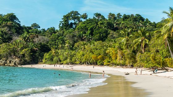 A tropical beach with clear blue water, lush green forest, and people enjoying the shoreline under a bright blue sky.