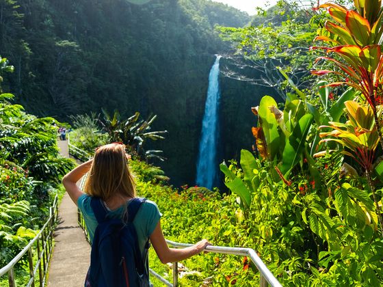 A person in a blue shirt and backpack looks at a tall waterfall surrounded by lush greenery and vibrant plants on a sunny day.