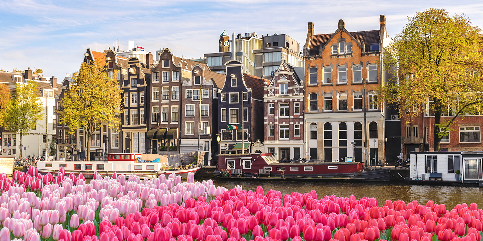 Canal in Amsterdam lined with traditional Dutch houses and houseboats, with vibrant pink and red tulips in the foreground under a blue sky.
