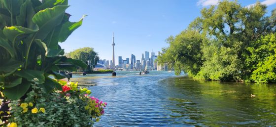 Scenic view of a city skyline with a tall tower across a lake, flanked by lush green trees and colorful flowers under a clear blue sky.