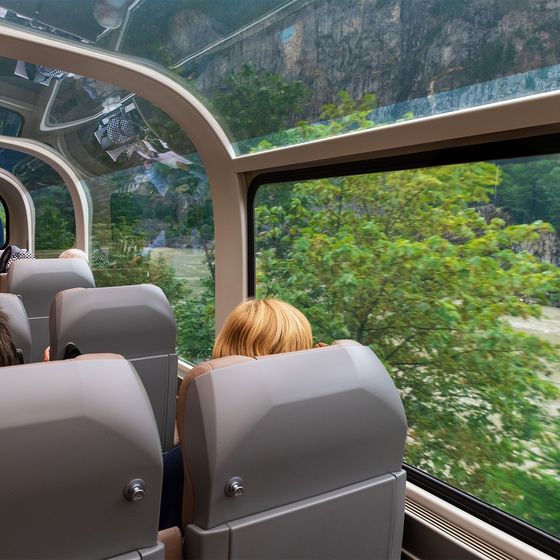 Passengers in a train with large windows enjoy scenic views of lush greenery and mountains through the glass roof and side.
