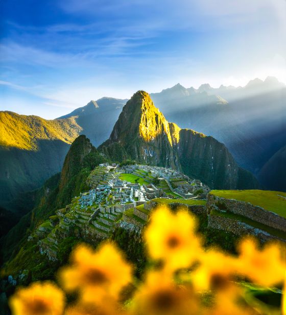 Majestic view of Machu Picchu bathed in sunlight, with vibrant yellow flowers in the foreground and surrounding mountains in the background.