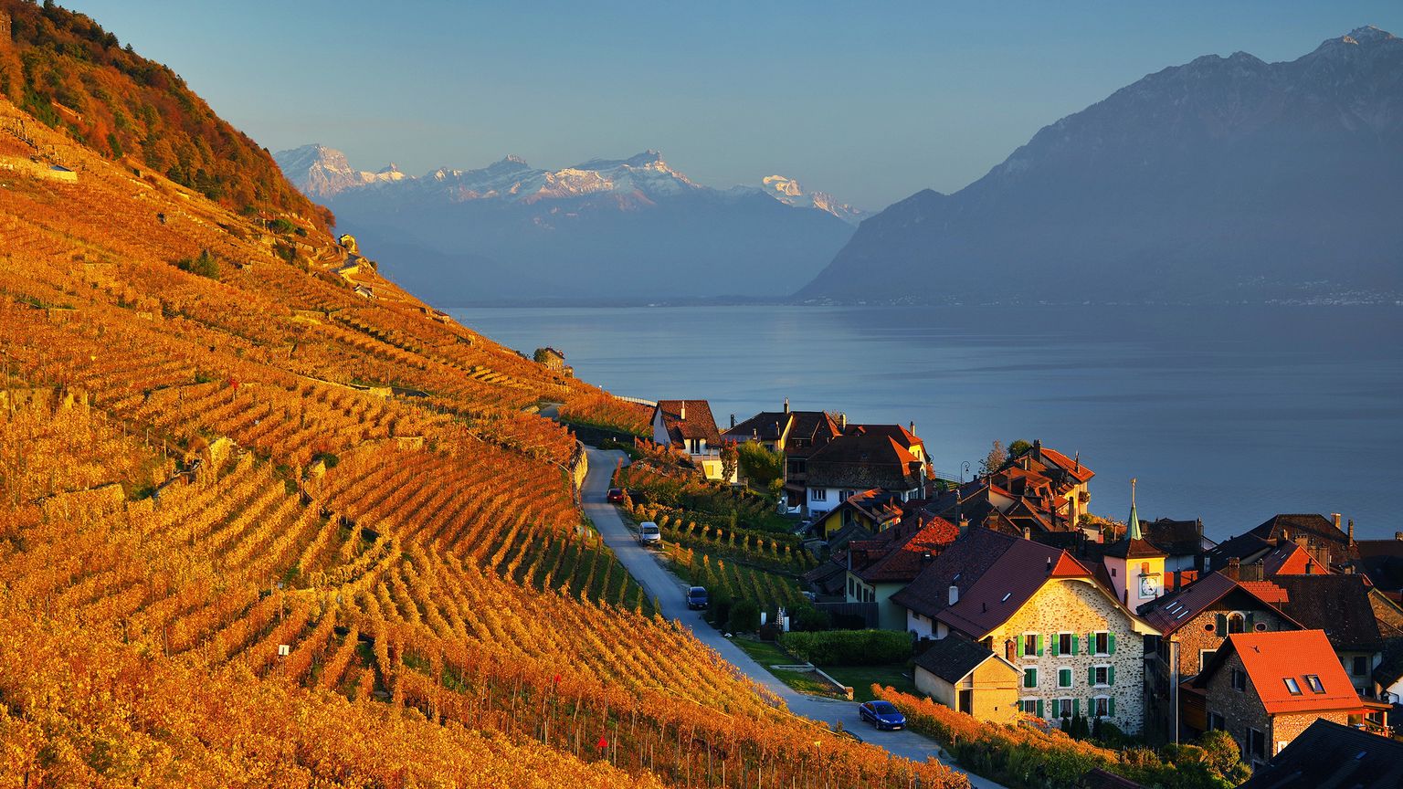Autumn vineyards on a hillside with a village, a lake, and snow-capped mountains in the distance under a clear blue sky.