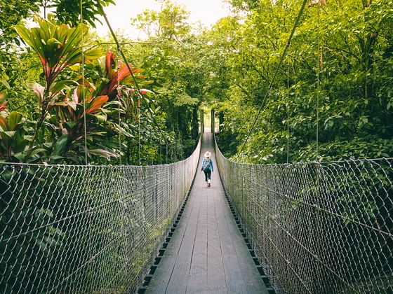 A person with a backpack walks across a suspension bridge surrounded by lush green jungle foliage, beneath a bright sky.