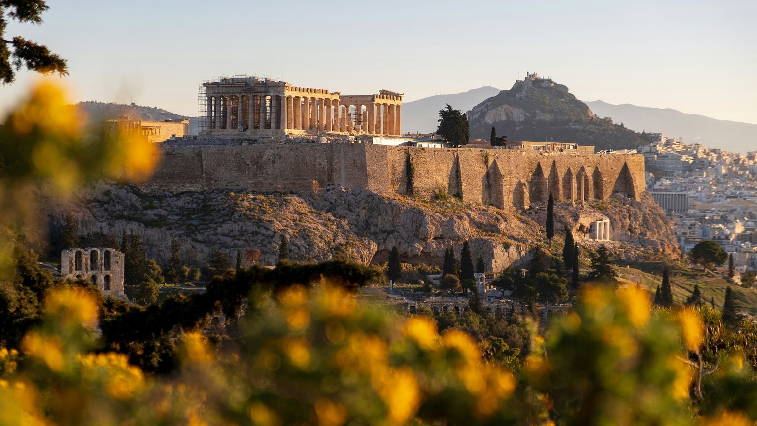 The Acropolis in Athens bathed in golden sunlight, with distant hills and cityscape in the background, framed by blurred foliage in the foreground.