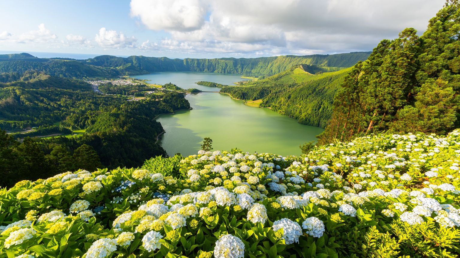 Lush landscape of a volcanic crater lake surrounded by green hills, blue hydrangeas in the foreground, under a sky dotted with clouds.