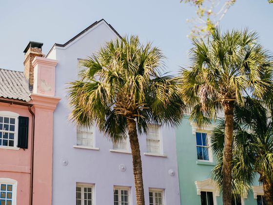 Pastel-colored row houses with palm trees in front, under a clear blue sky.
