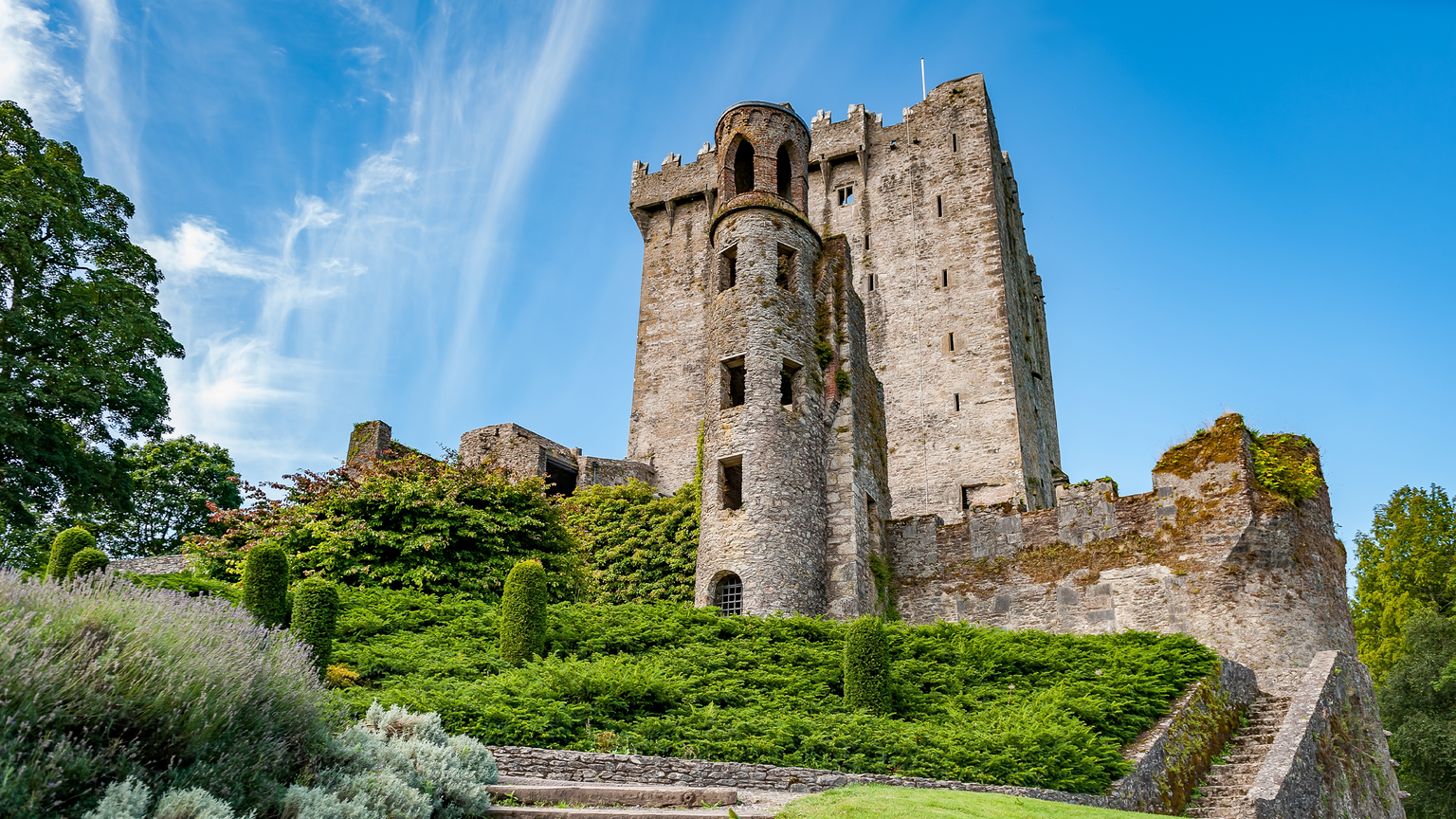 Stone walls and a round turret of a historic castle rising above a hillside covered in lush green bushes and lavender plants under a blue sky.