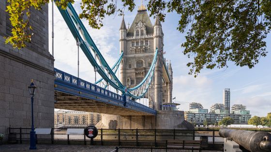 Tower Bridge in London with its blue suspension and stone towers, under a clear sky, framed by leaves and a vintage cannon in the foreground.