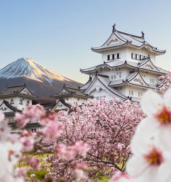 A white Japanese castle rises behind pink cherry blossoms in full bloom, with a snow-capped mountain in the background under a clear sky.