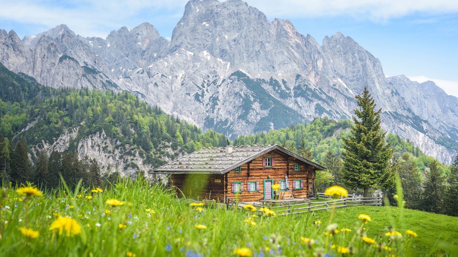 A rustic wooden cabin sits amid lush greenery and yellow wildflowers, with towering, rocky mountains in the background under a blue sky.