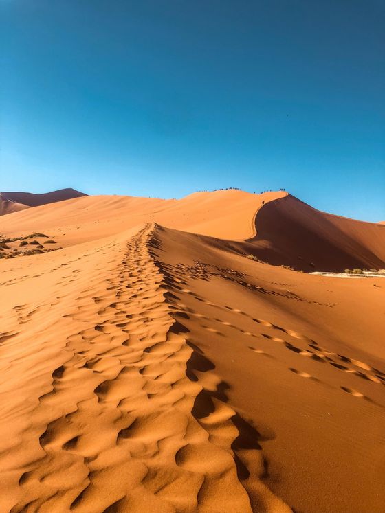 Golden sand dunes under a clear blue sky, with footprints leading over the ridge, casting shadows on the desert landscape.