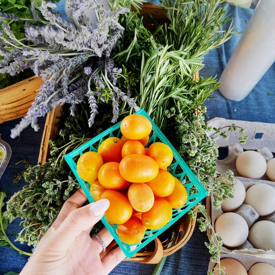 Hand holding a basket of kumquats above a table with fresh herbs, leafy greens, and eggs on a blue tablecloth.