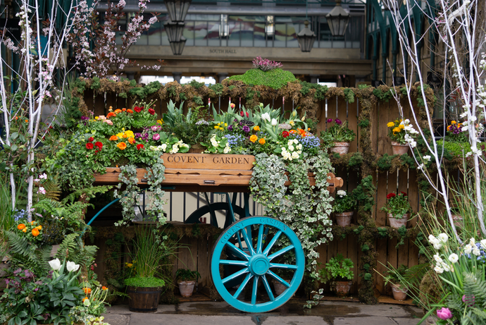 Colorful flowers and greenery on a rustic cart with a turquoise wheel, adorned with a "Covent Garden" sign, surrounded by branches.