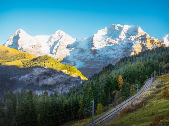 Scenic view of snow-capped mountains with a tranquil forest and a railway track in the foreground under a clear blue sky.