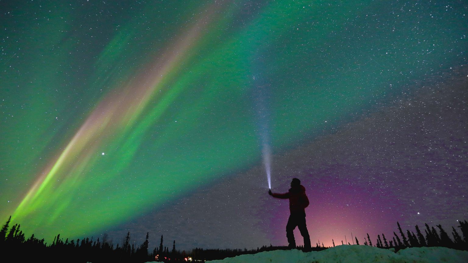 Silhouette of a person on snowy ground pointing a flashlight at the vibrant green and purple Northern Lights under a starry sky.