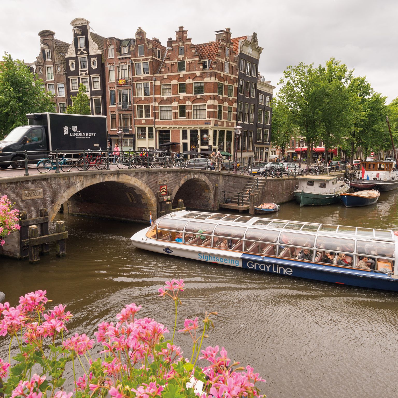 Canal scene in Amsterdam with a tour boat, historic buildings, a bridge with a truck, and pink flowers in the foreground.