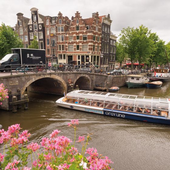 Canal scene in Amsterdam with a tour boat, historic buildings, a bridge with a truck, and pink flowers in the foreground.
