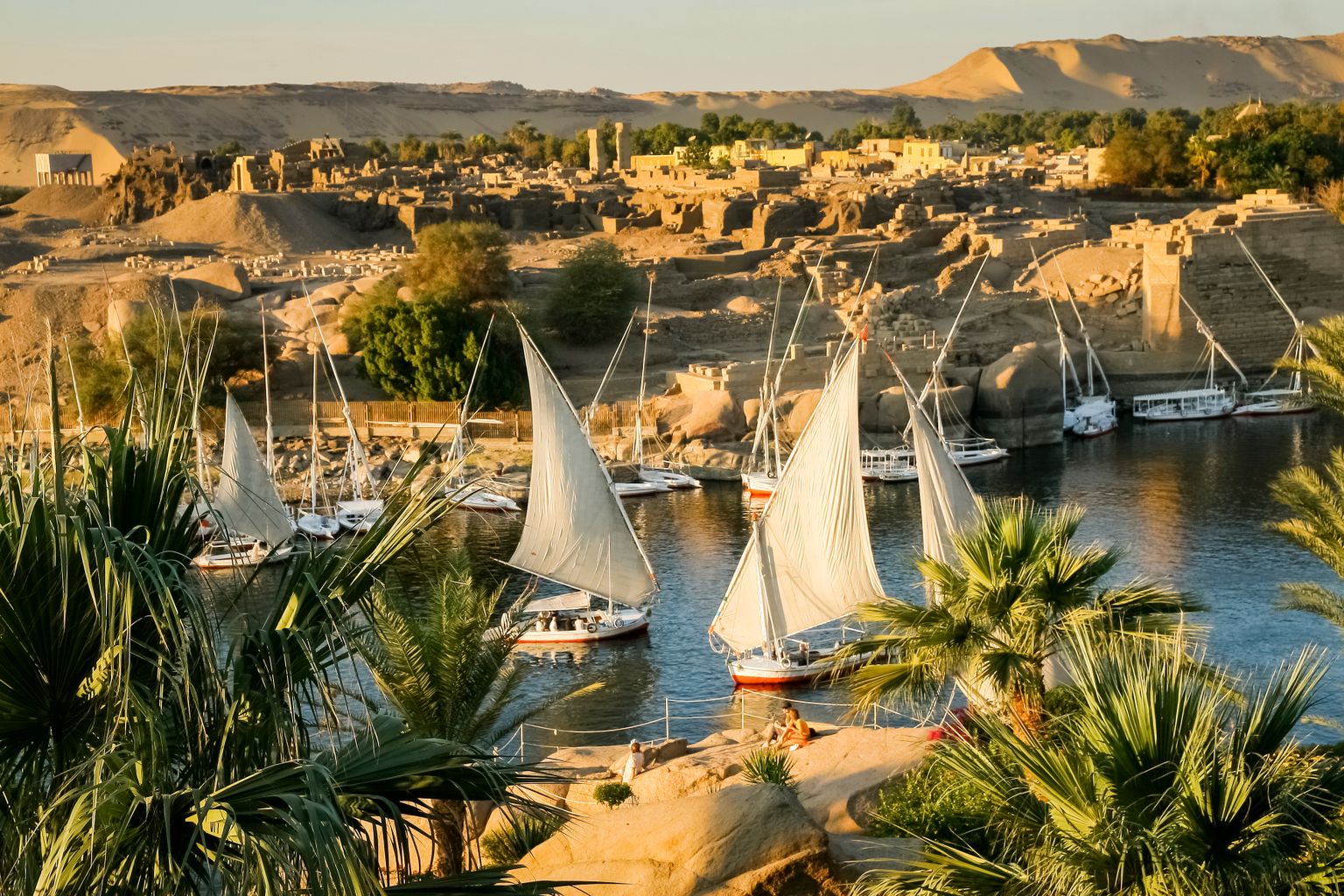 Sailboats with white sails on the Nile river bordered by palm trees, with ancient ruins and desert hills in the background under a clear sky.