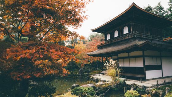 Traditional Japanese building and garden with trees in vibrant autumn colors.