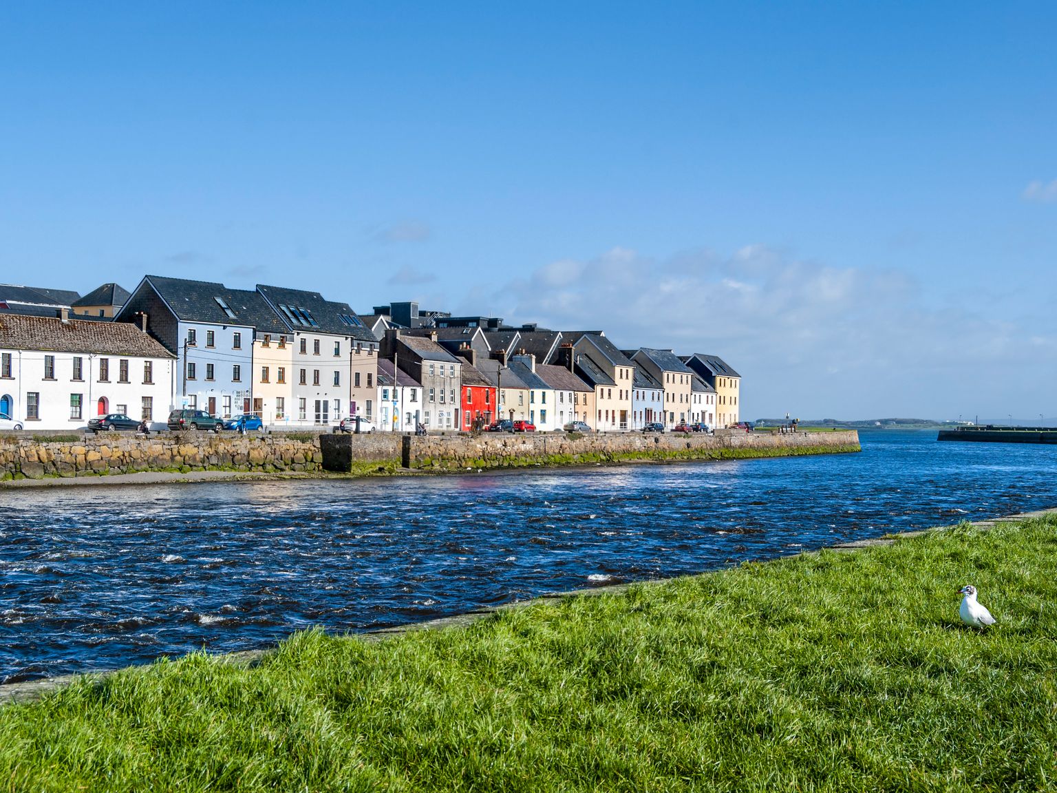 A row of colorful houses lines a waterfront under a clear blue sky, with a seagull on grassy land in the foreground.
