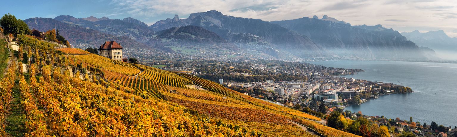 Vineyard slopes leading to a lakeside town, with mountains in the background and scattered autumn-colored foliage.