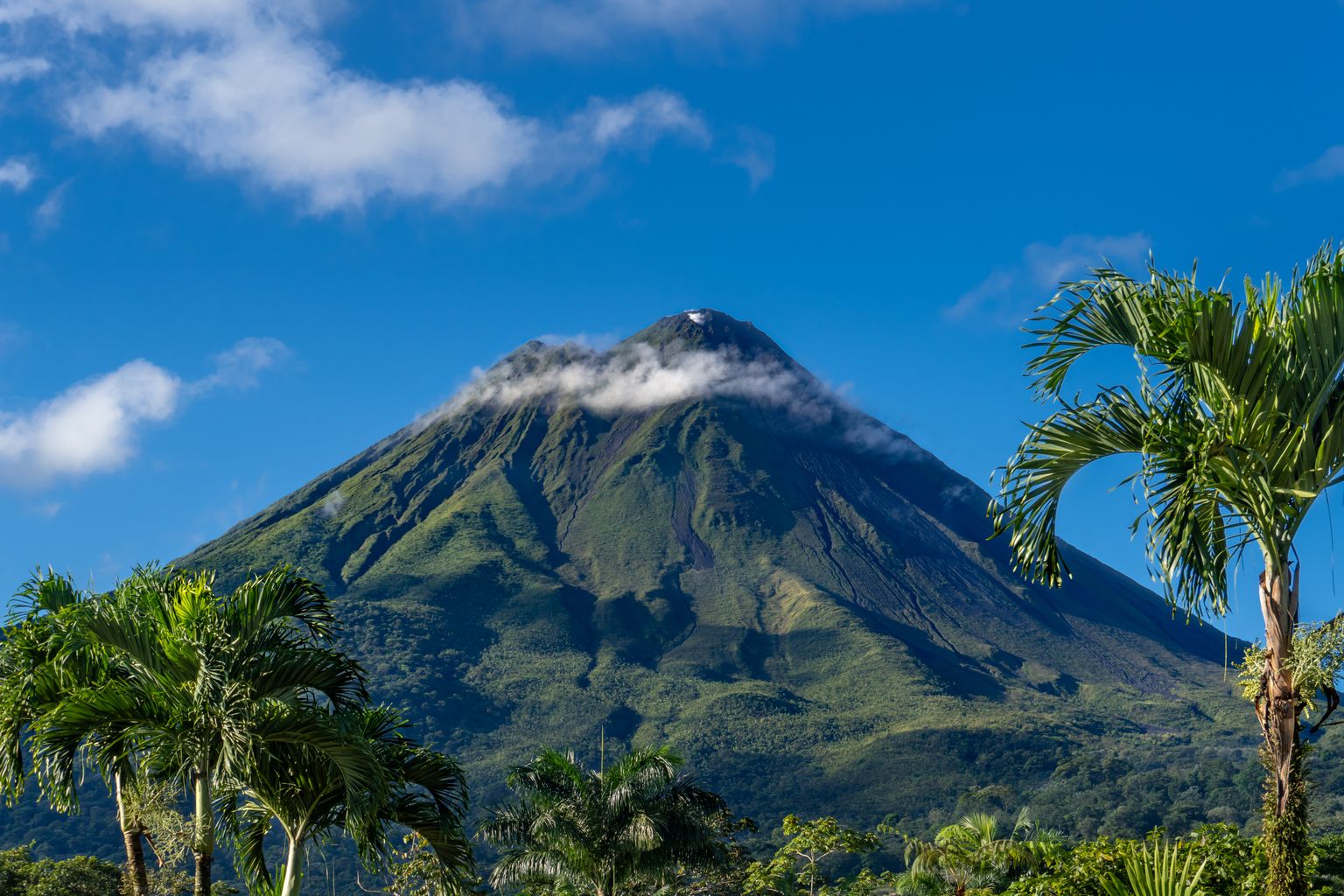 Lush green volcano with a peak surrounded by wispy clouds under a blue sky, framed by palm trees.
