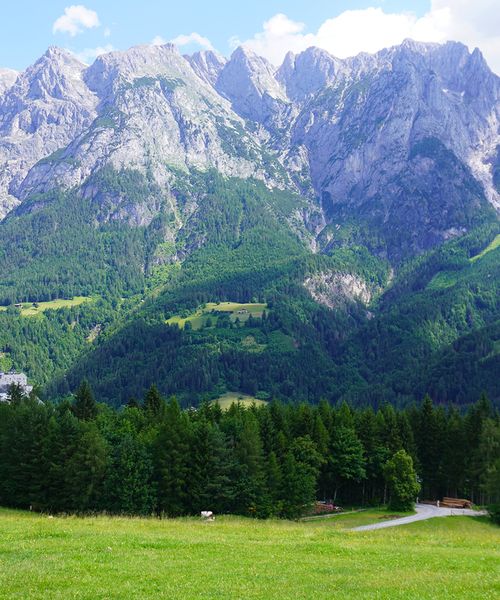 Lush green meadow with scattered trees, leading to towering, rugged mountains under a bright blue sky with a few clouds.