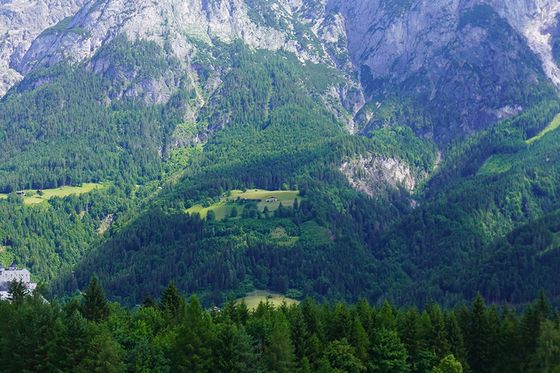 Lush green meadow with scattered trees, leading to towering, rugged mountains under a bright blue sky with a few clouds.