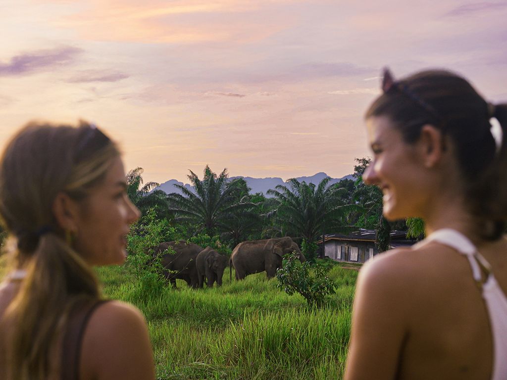 Two people outdoors at sunset, admiring elephants grazing in a lush green field, with palm trees and hills in the background.