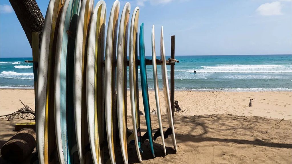 Surfboards stand upright on a sandy beach near the ocean, with waves in the background and a partly cloudy sky above.