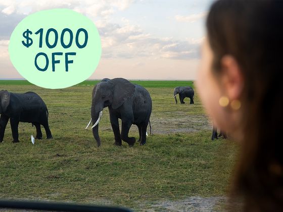 Person in a vehicle views elephants in a grassy field; a large "$1000 Off" text overlay.